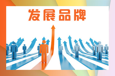 找摄像头的探测器软件